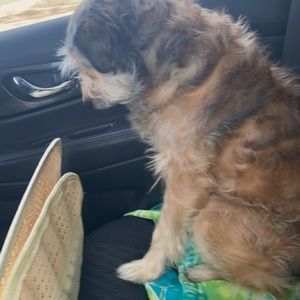 Meet your Posher, Mia